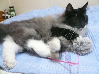 s-120108.jpg